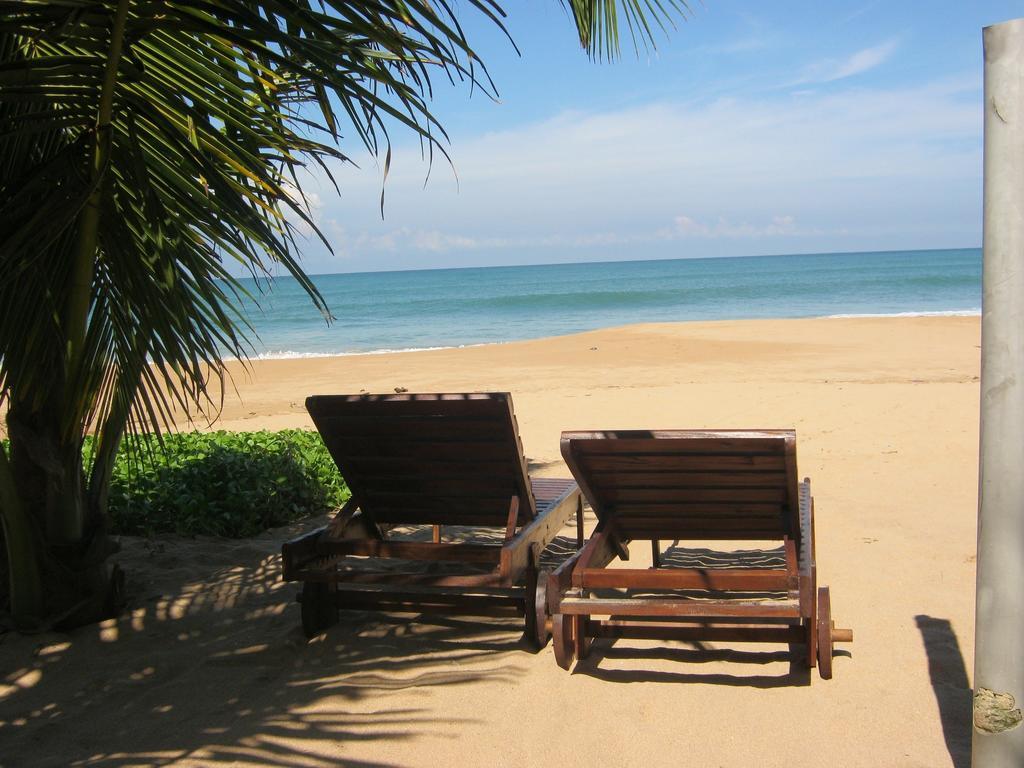 Arcade Beach Hotel Bentota Extérieur photo