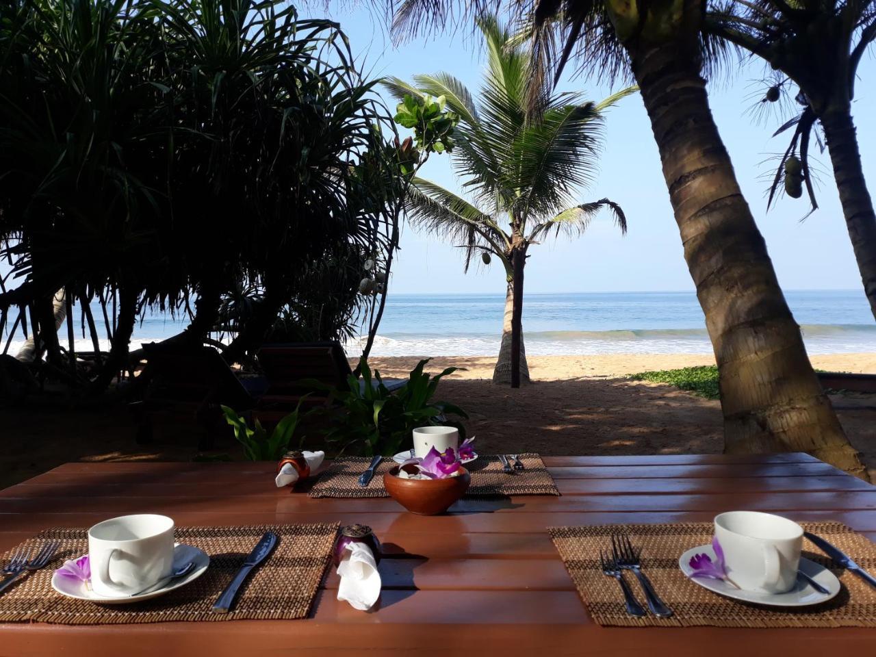 Arcade Beach Hotel Bentota Extérieur photo